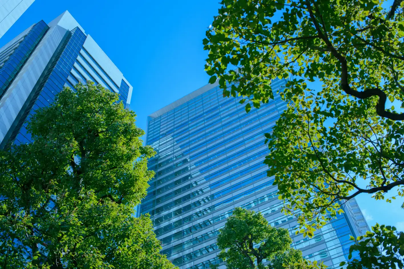 68234d366e6d3_Office Buildings-Trees